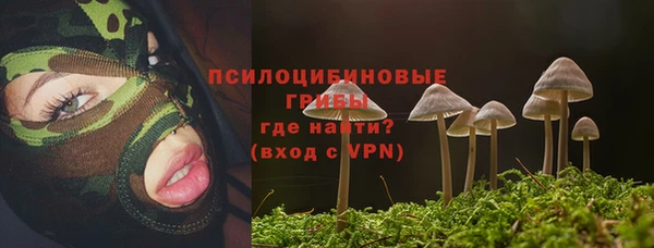 синтетический гашиш Алексин