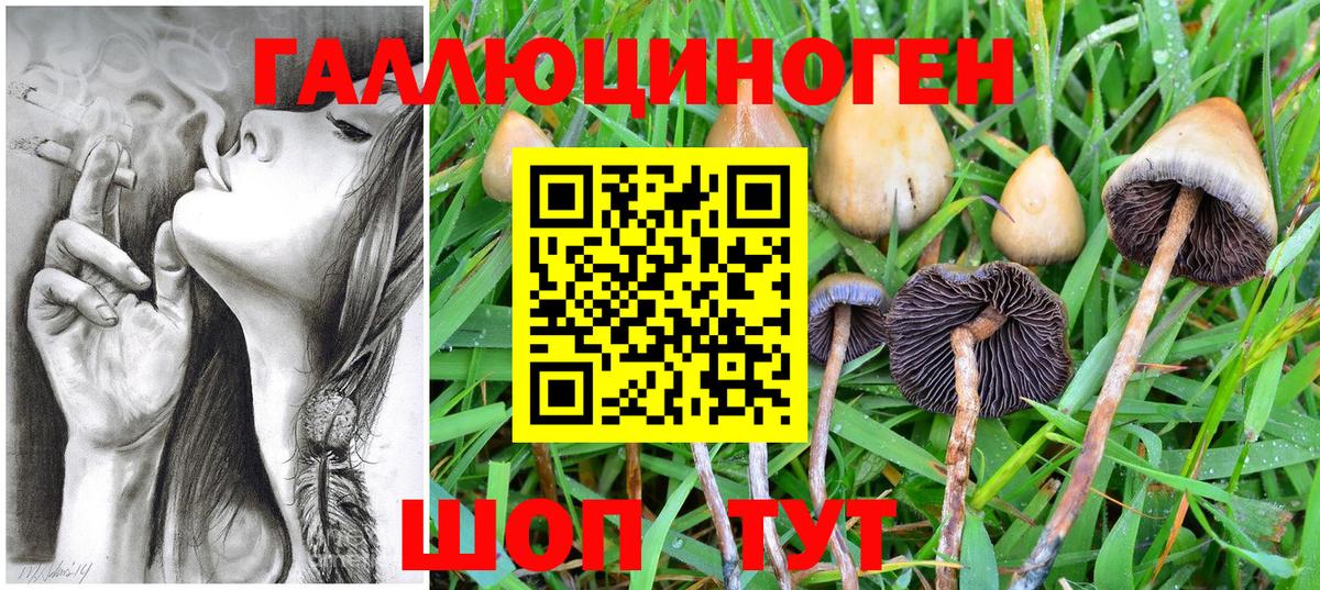 Галлюциногенные грибы мухоморы  Вход с VPN  Лобня  Галлюциногенные грибы GOLDEN TEACHER 